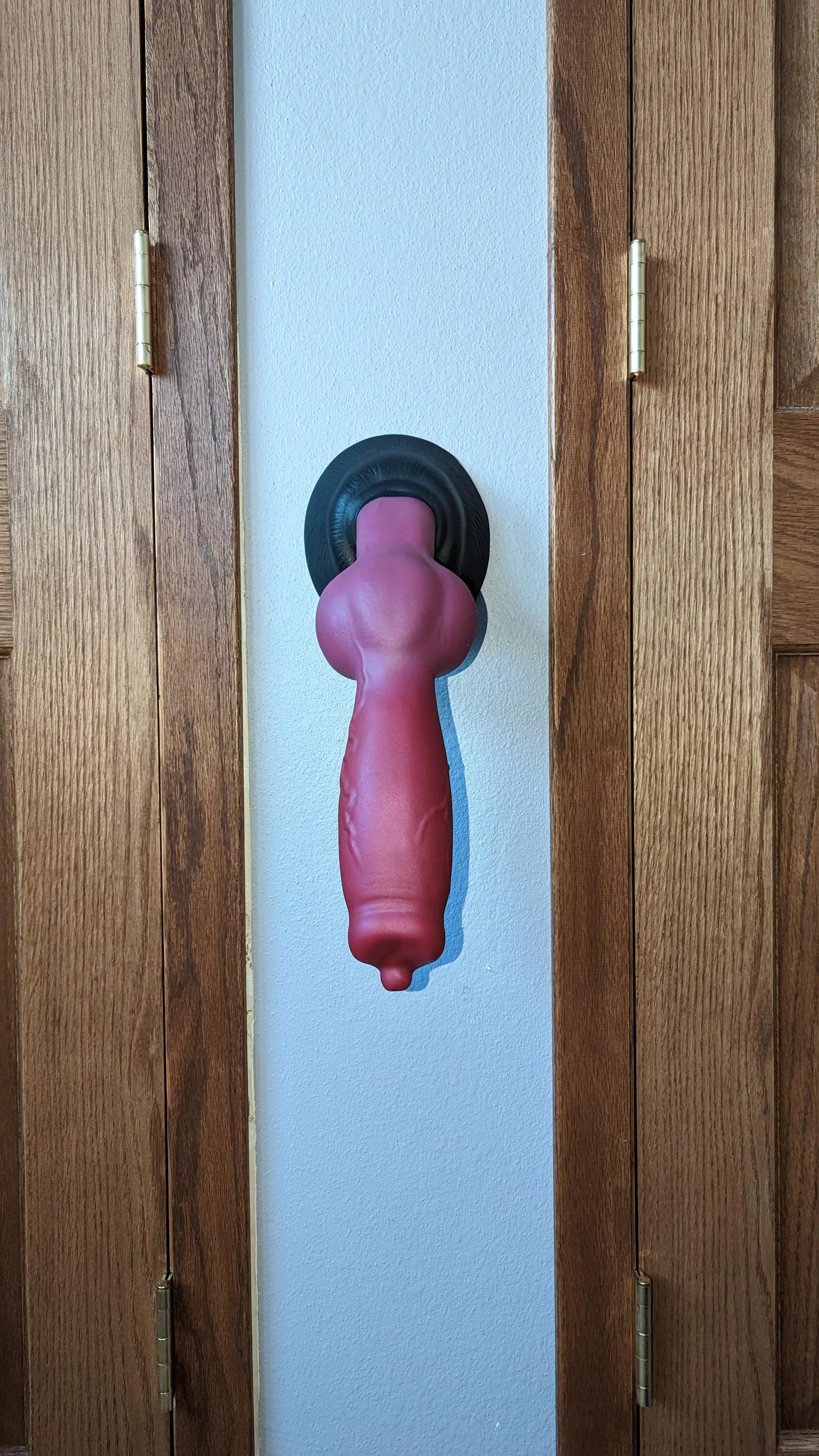 It's gonna be a fun night. Sized up to an XL Rex firm base soft shaft with a suction cup. posted by EatMyDragons