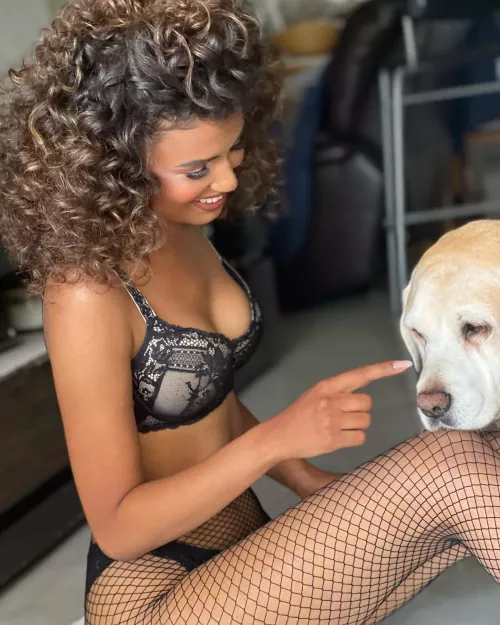 Lucky dog by HonestRunner