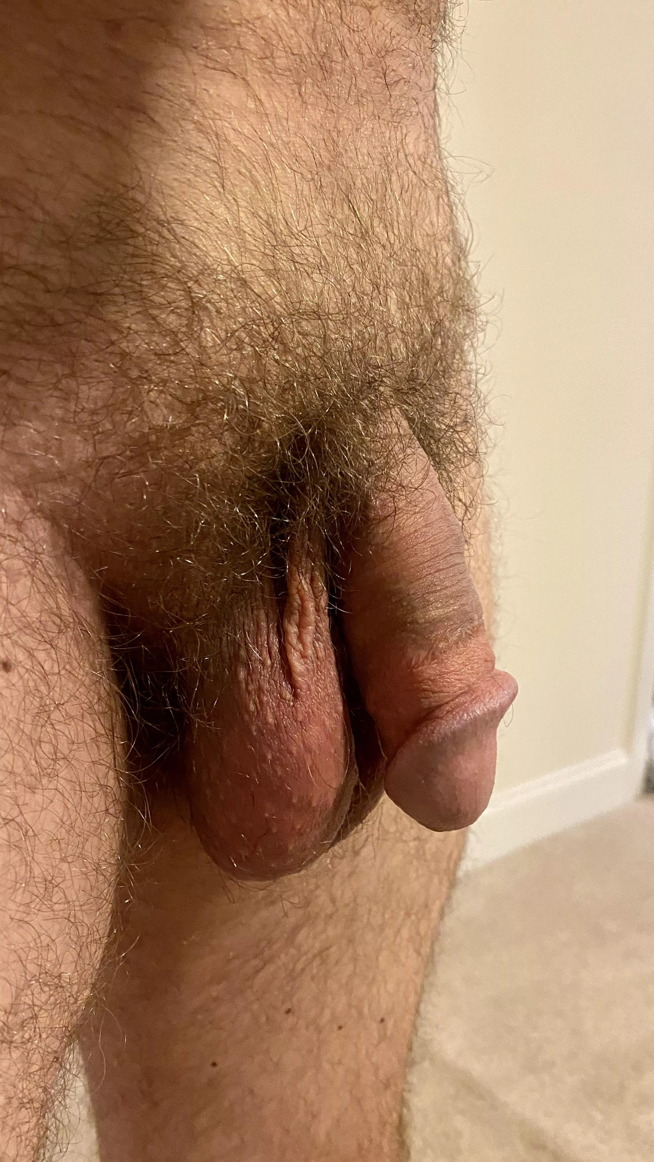 Morning Softie [44] posted by Brad-Martin78