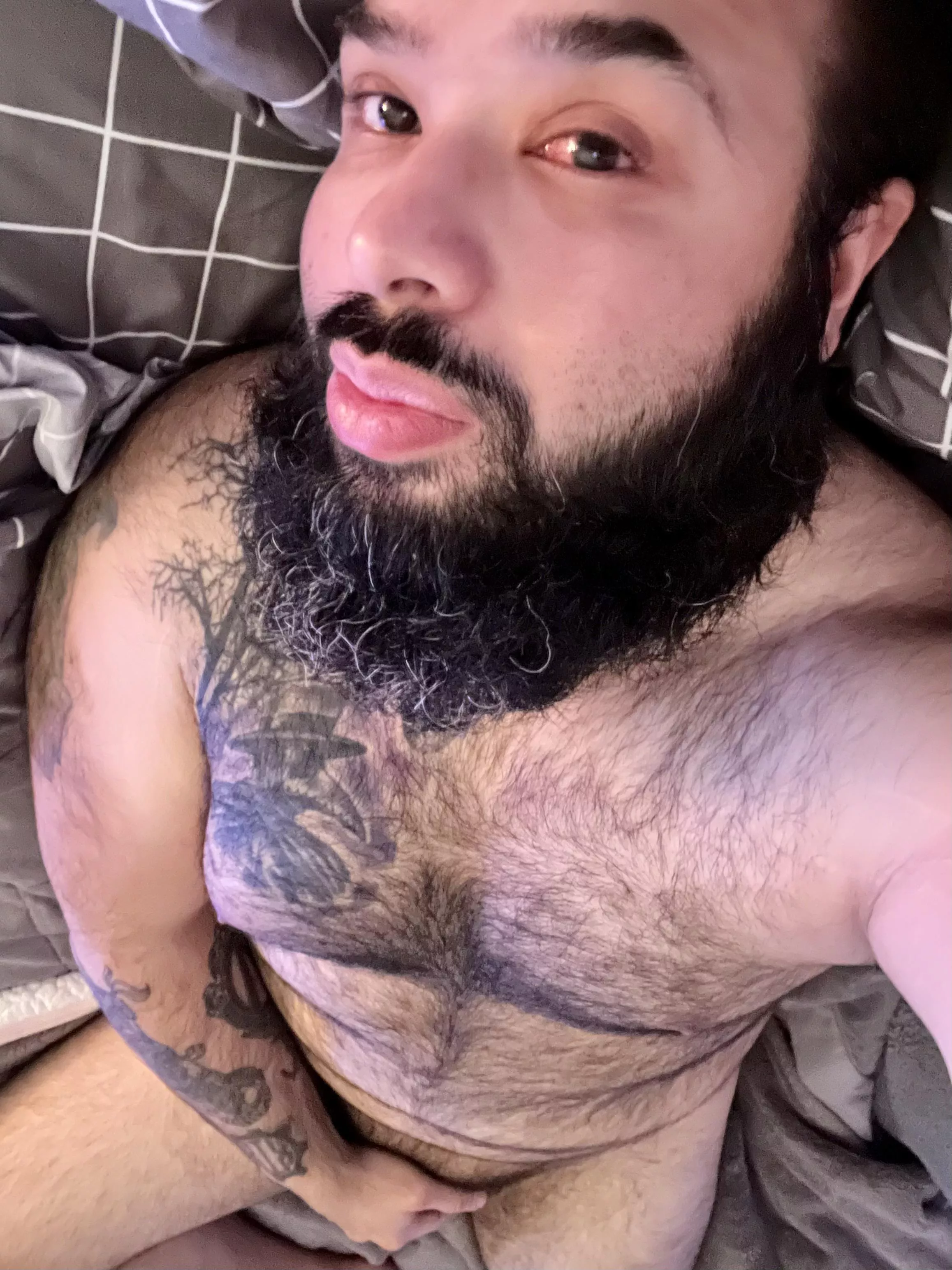 Need a chubby dude in bed with you this morning? posted by ZaddyNineteen