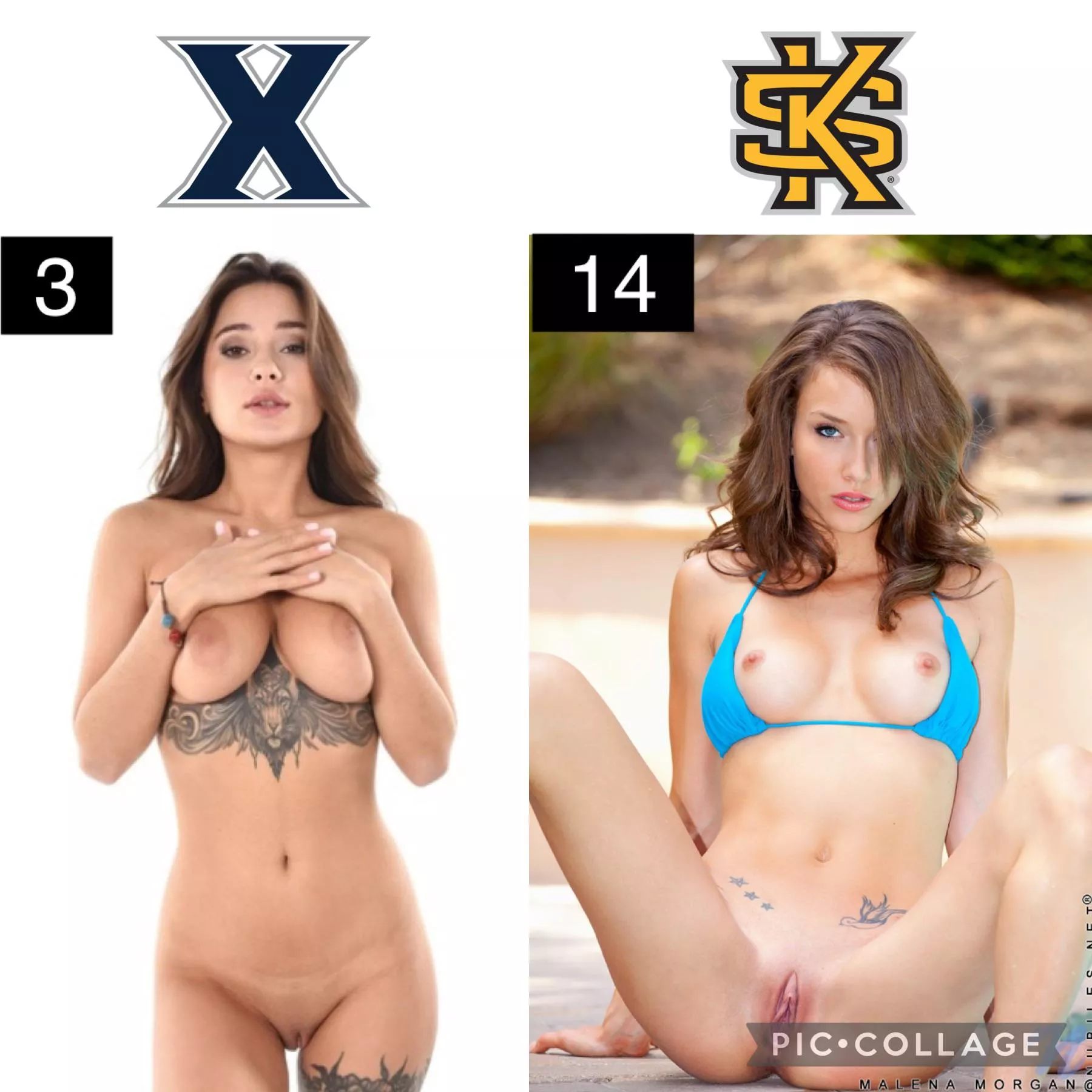 Pornstar March Madness: Round of 64 [Liya Silver] vs [Malena Morgan] posted by Suspicious-Eagle9537