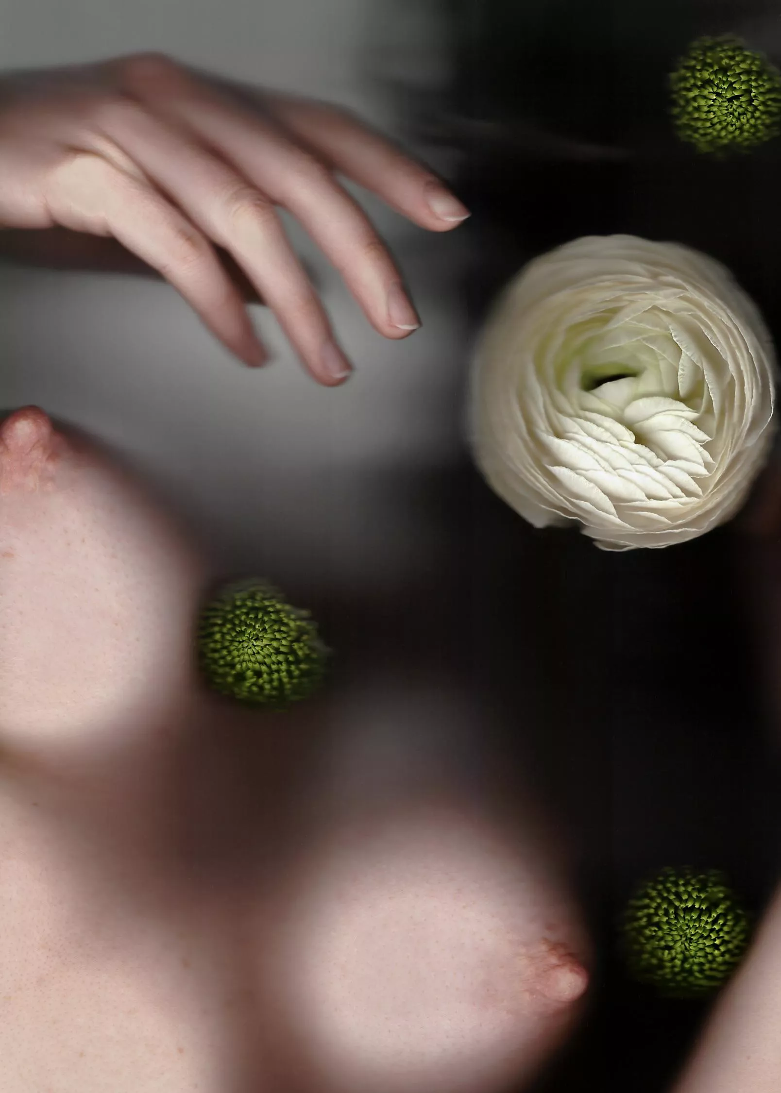 Self portrait on the glass posted by sasha_rachok