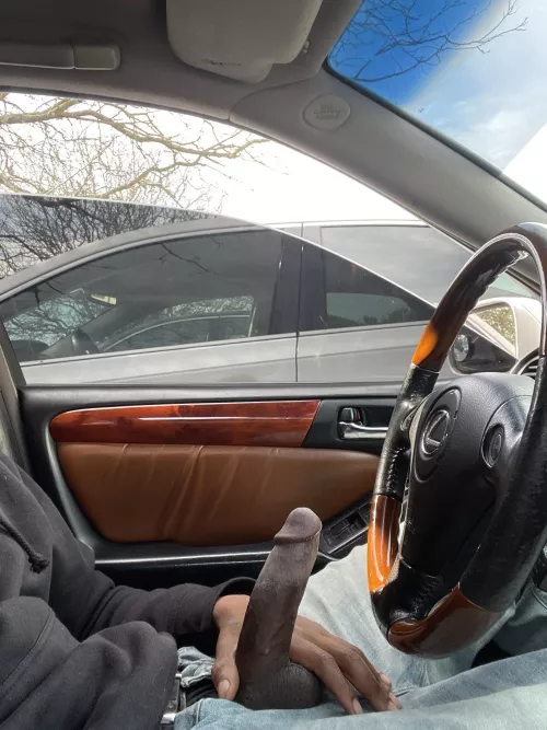 stroking in a busy lot by wolfknightz