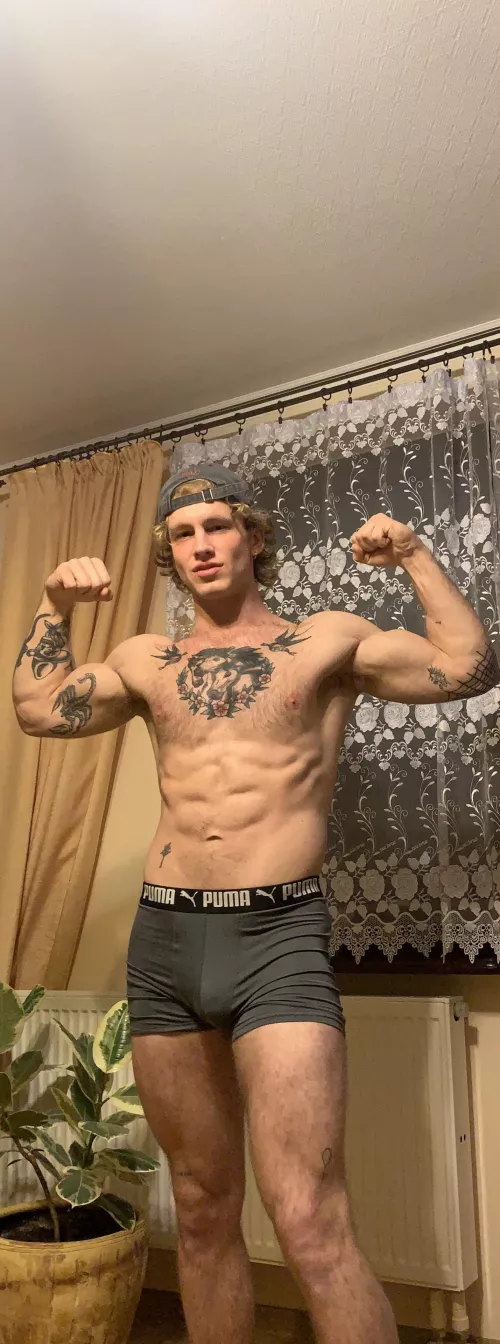 Wanna wrestle with me? by haael12