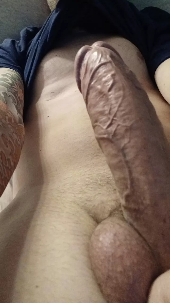 When the urge hits me I just can't resist. posted by leftredxiv