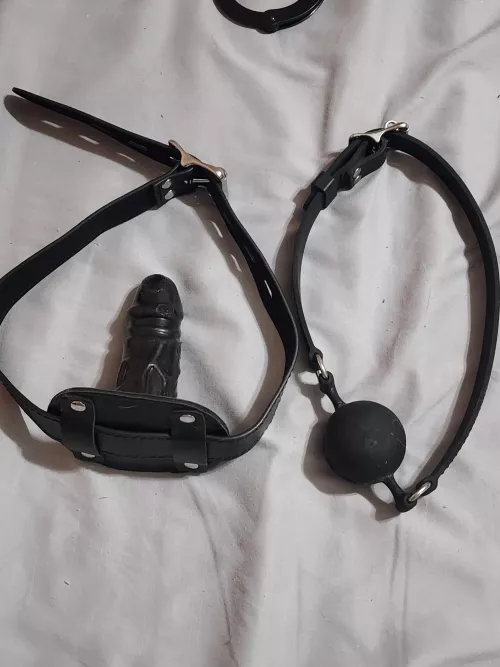 Which one do you want to lock on me by ScaleCold1796