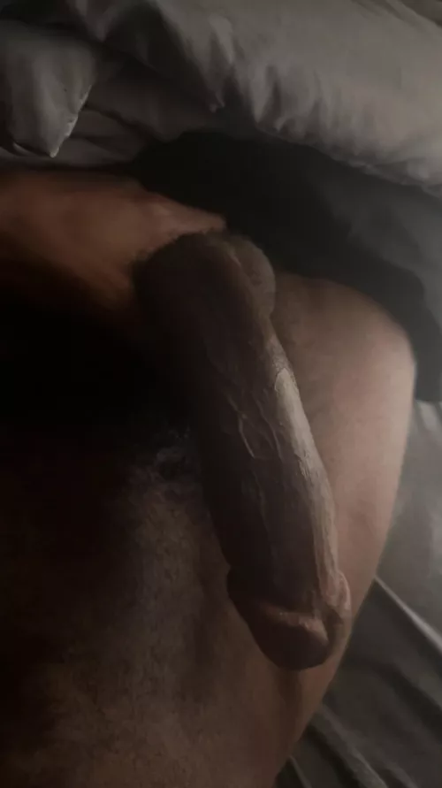 You see this, wyd next? by Nice_Worldliness_493