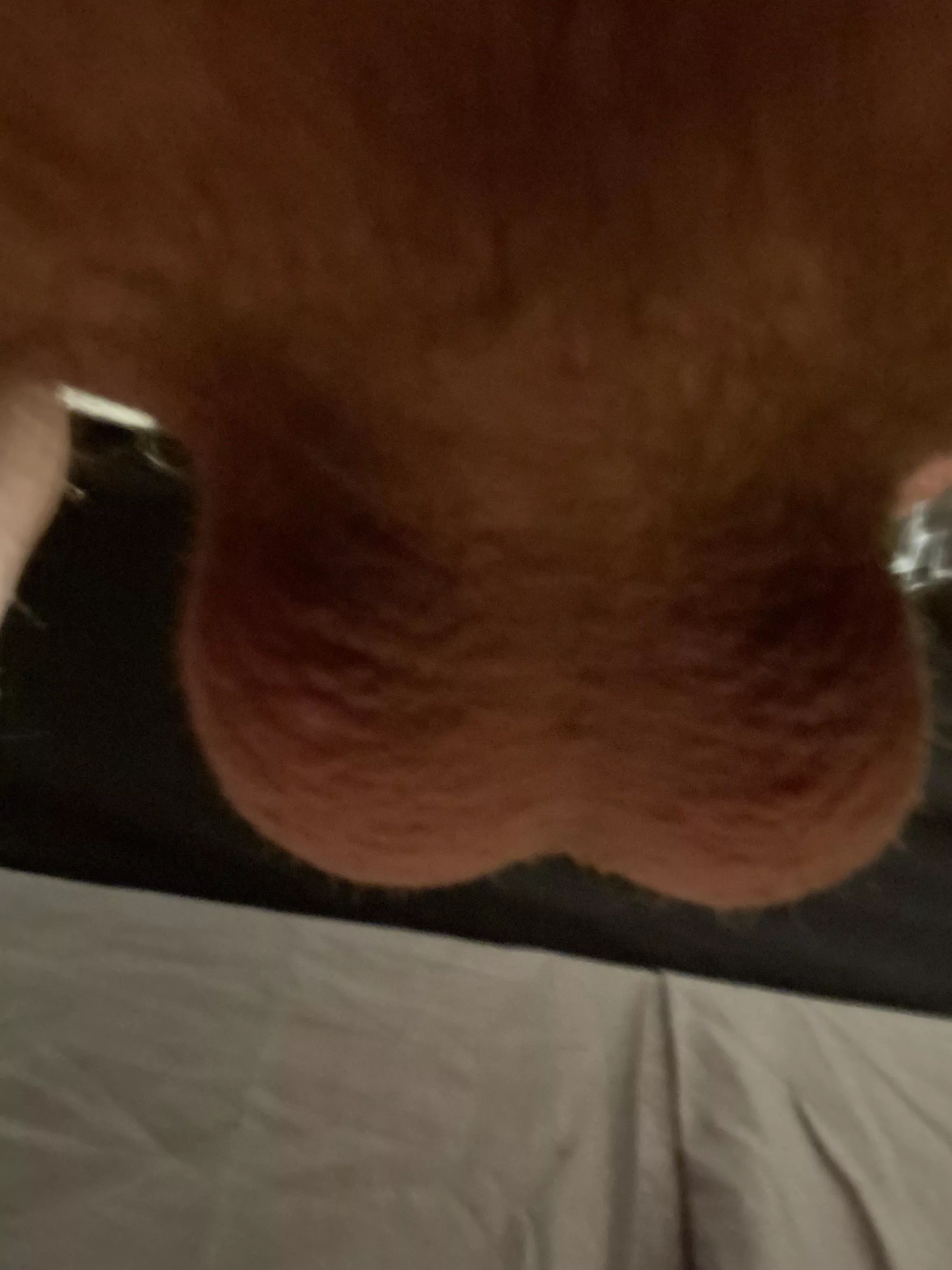 Do you like the view? posted by GrtWht_North