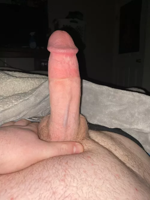 Feel free to rate here or in dms by Kind_Conversation573