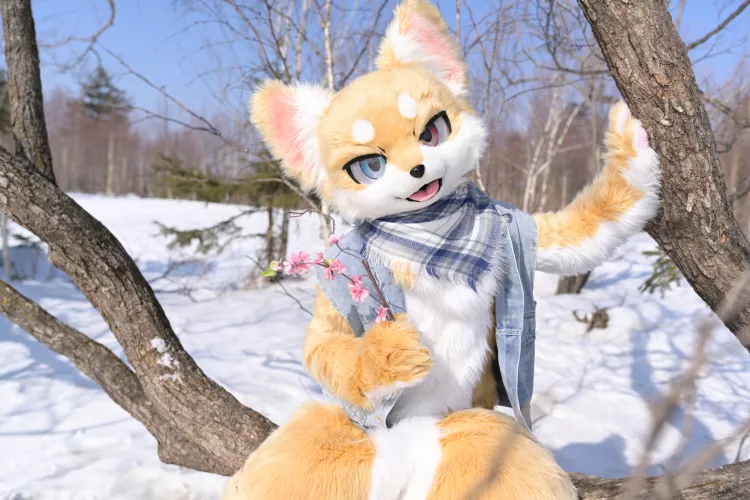 #FursuitFriday by Cookizi on Bilibili by Dragoniel