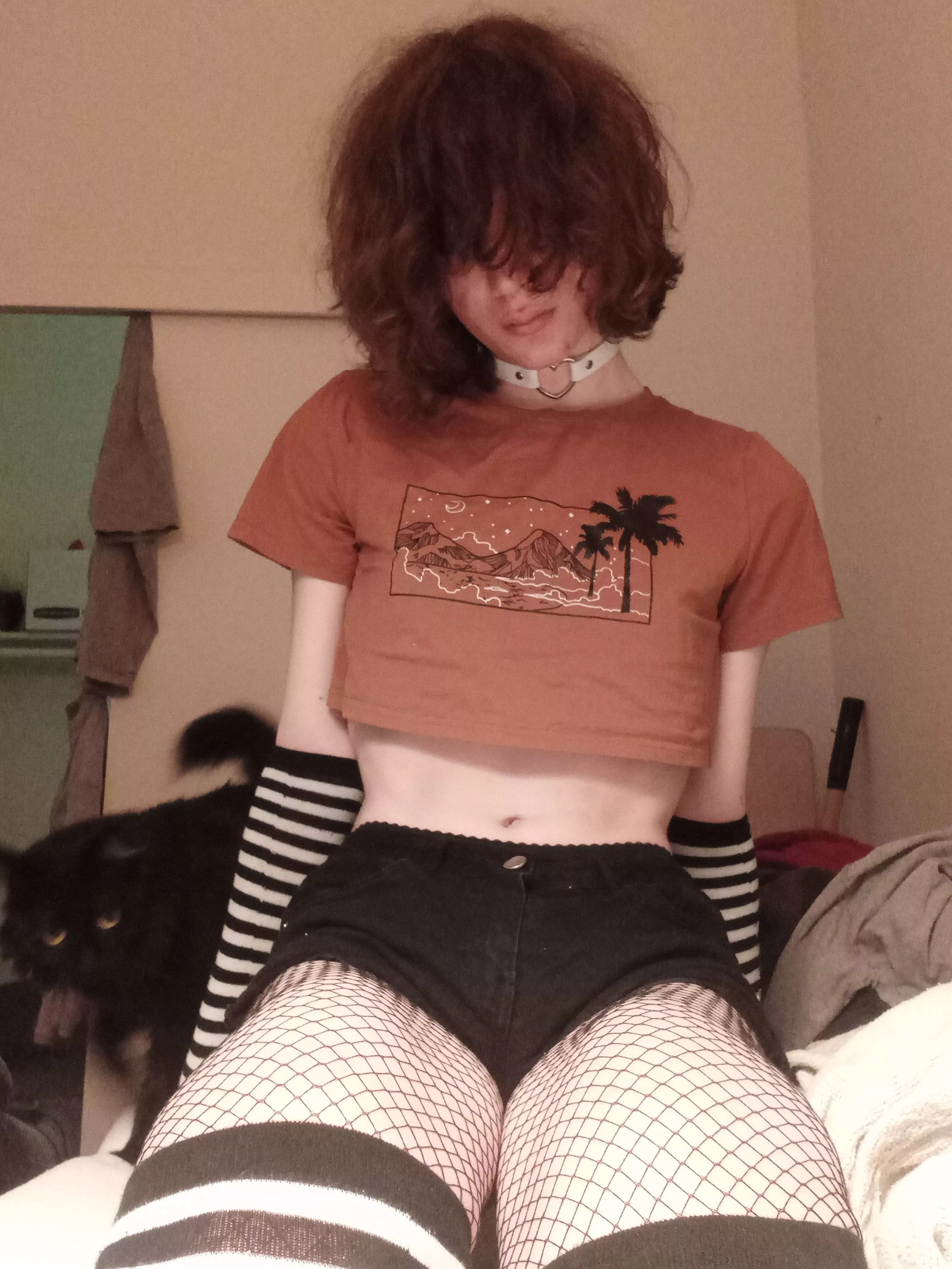 Guys I'm a real professional at this taking pictures business you can tell because of the blinding white light and my cat in the background posted by Femboy_Hours