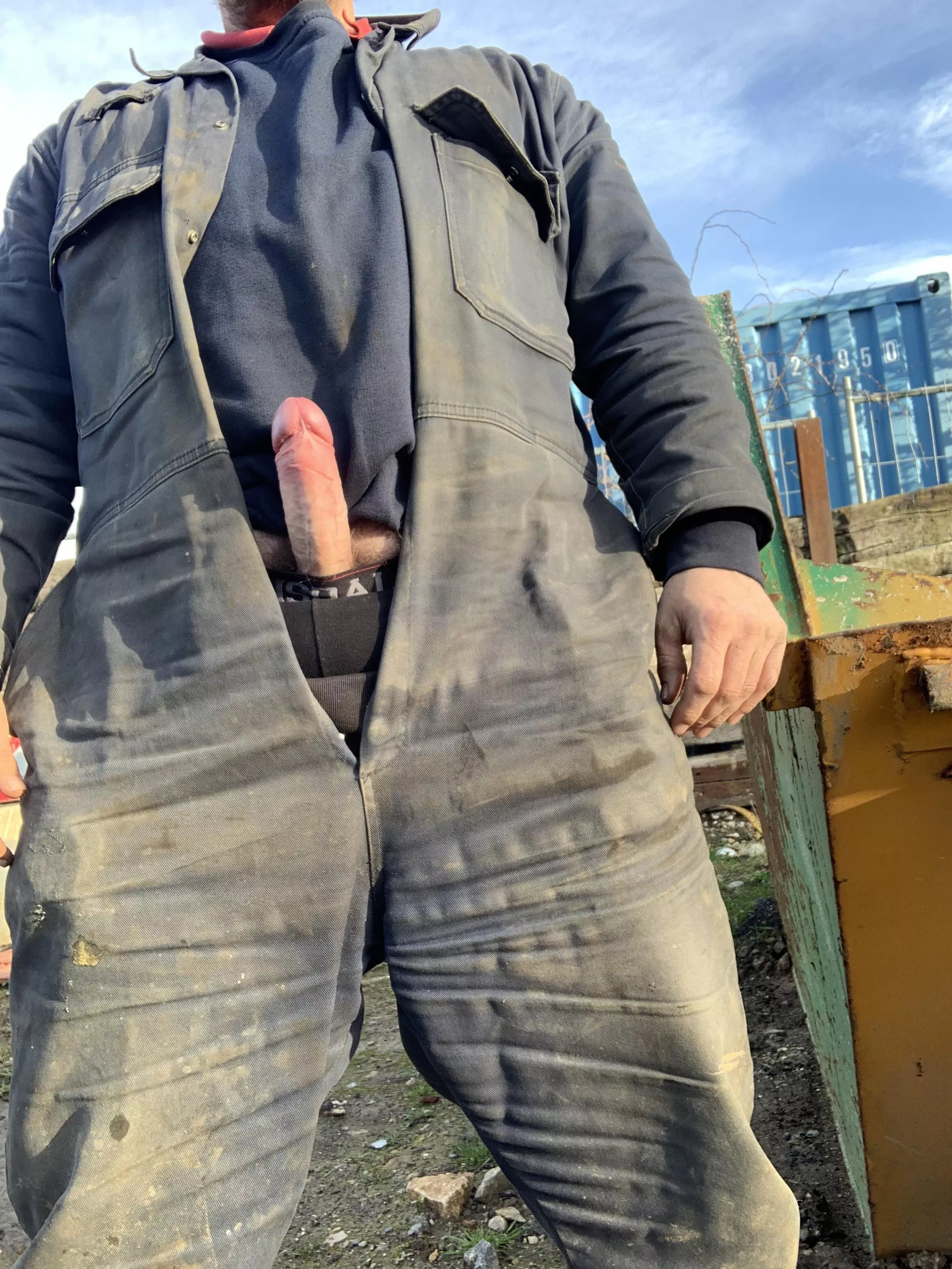 Hard at work! posted by Reallybored3