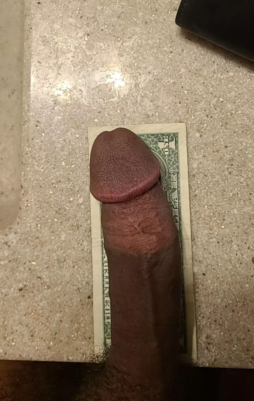 I bet you a dollar you quit scrolling posted by Far_Math2843