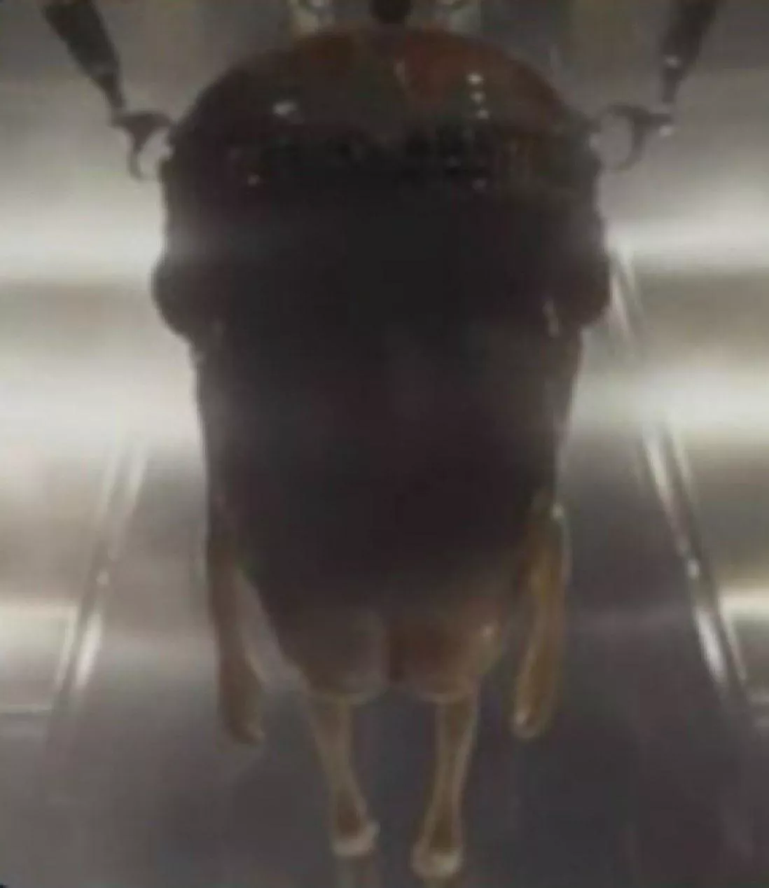 I know the movie was meh, but this is prime rule34 material posted by Hefty-Gazelle