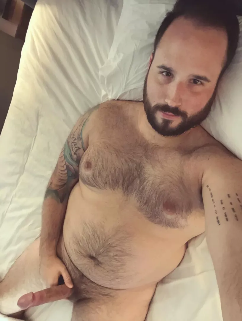 In a mood this morning. posted by bigfurrypig
