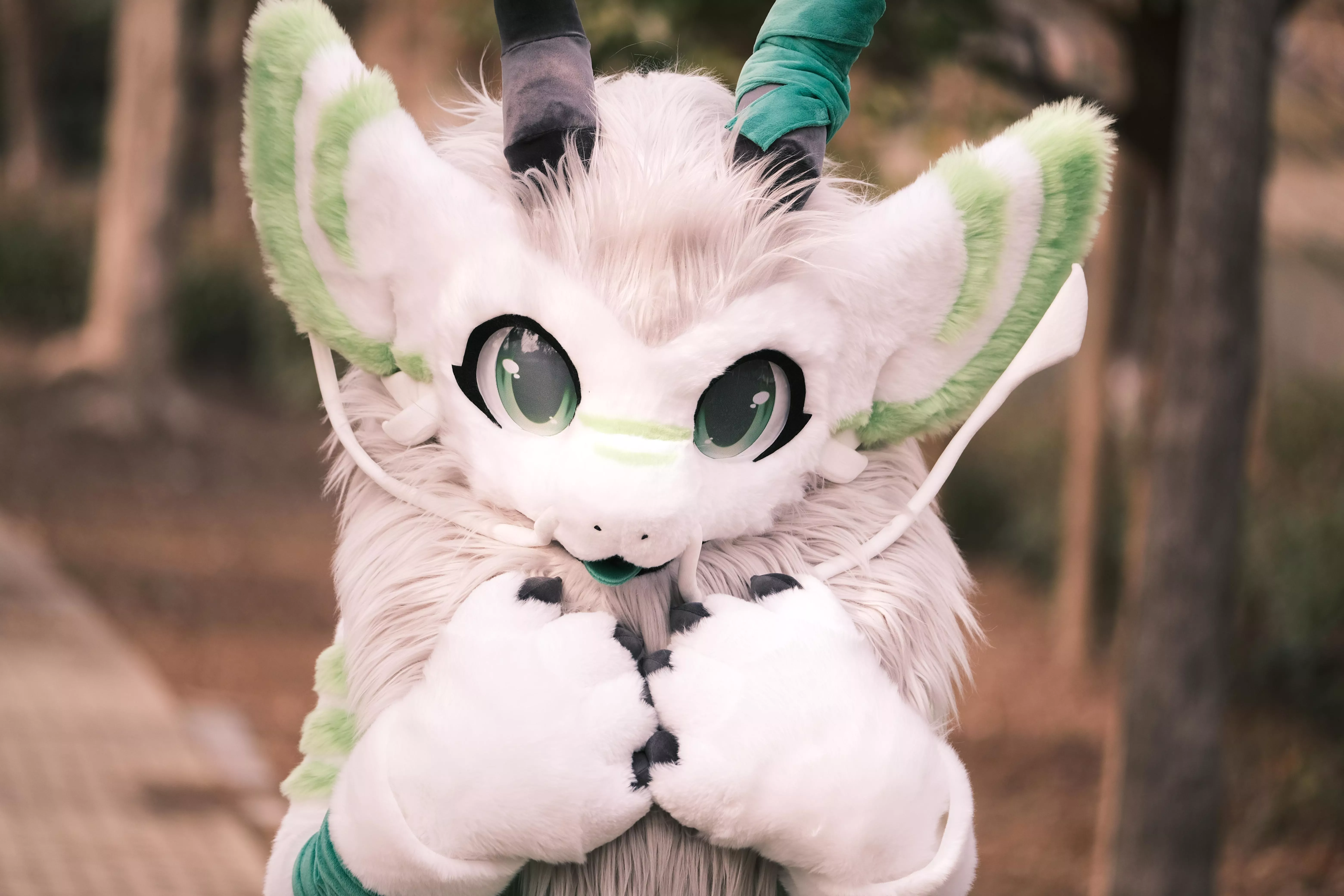 MiRin2016 aka Sampplu (@NighrVern on Twitter) posted by Dragoniel