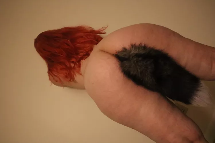 Play with kitten? 🐱 by LilOmegaNai