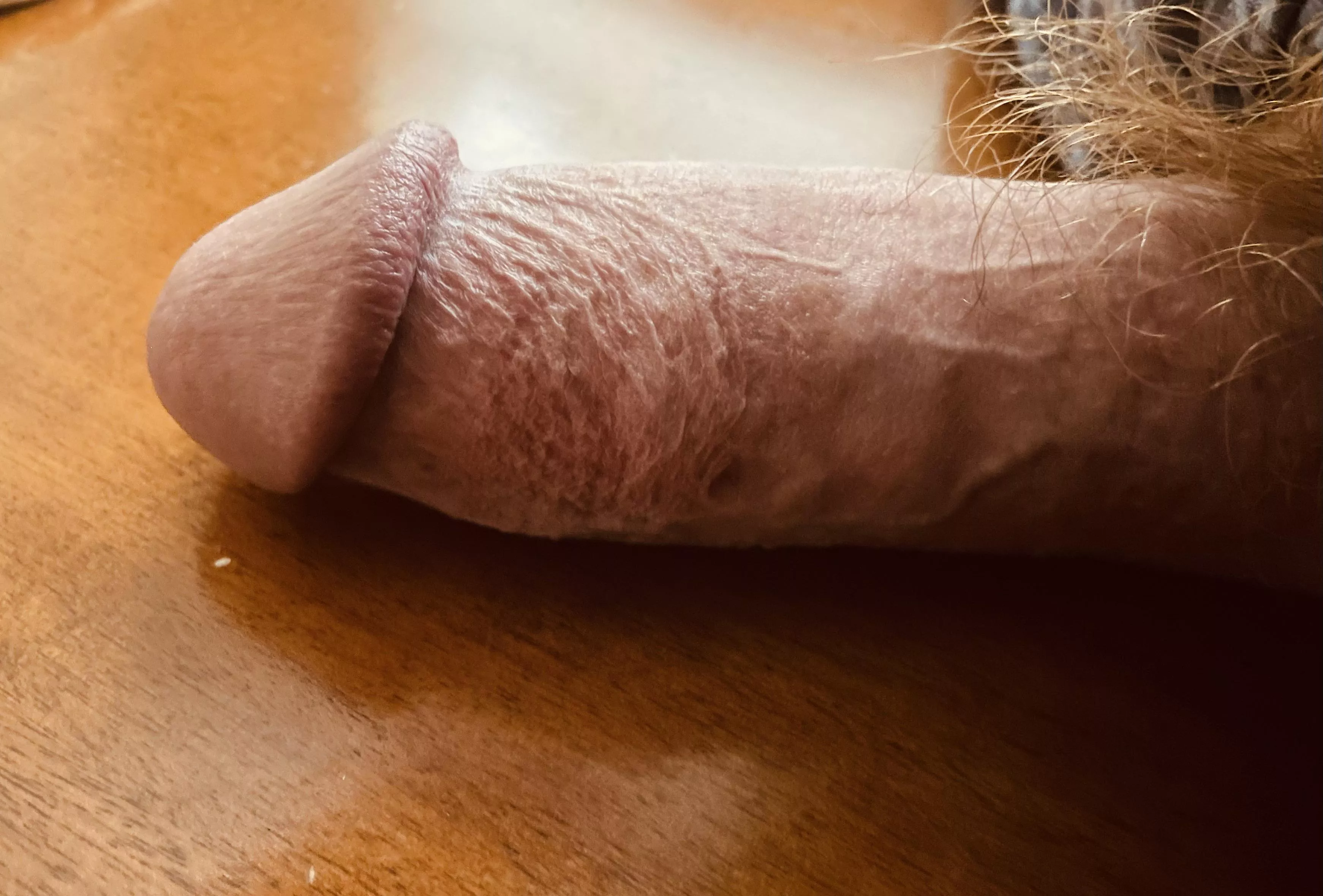 Sausage anyone? posted by Relevant_Junket6404