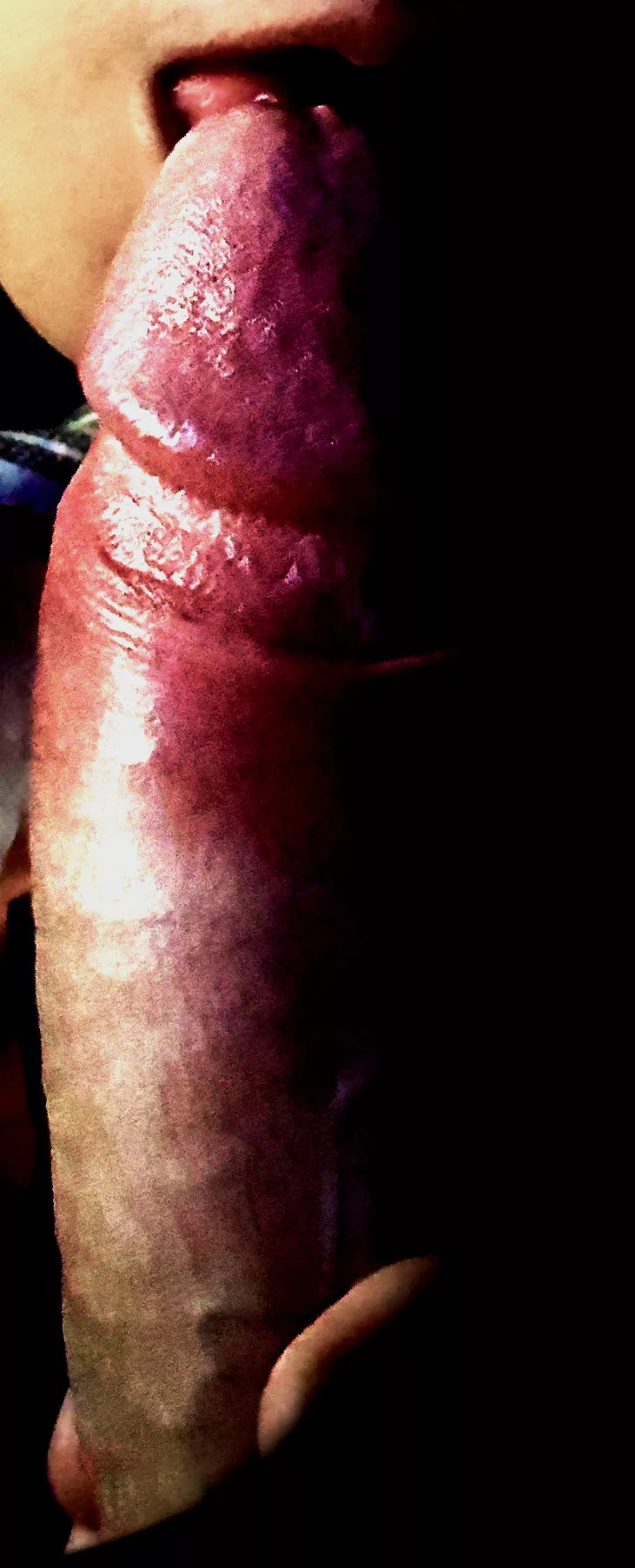 Savoury monolith posted by RoyTheBuck