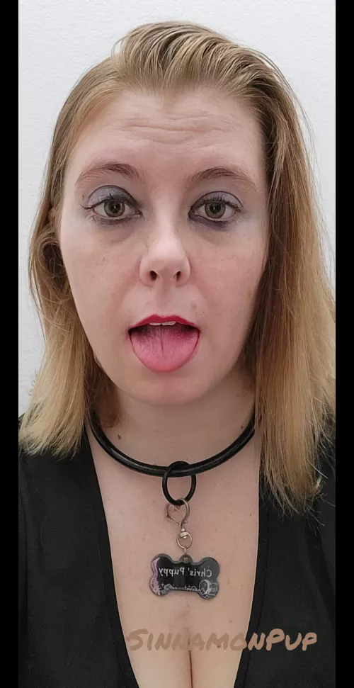 Sinnamon is all dressed up and ready to play by SinnamonPup