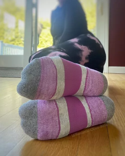 TGIF! Here are my socks to celebrate !😉 by Realistic-Olive-9974