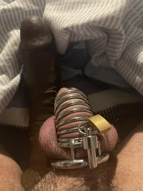 Trying to escape by InternationalAd6046