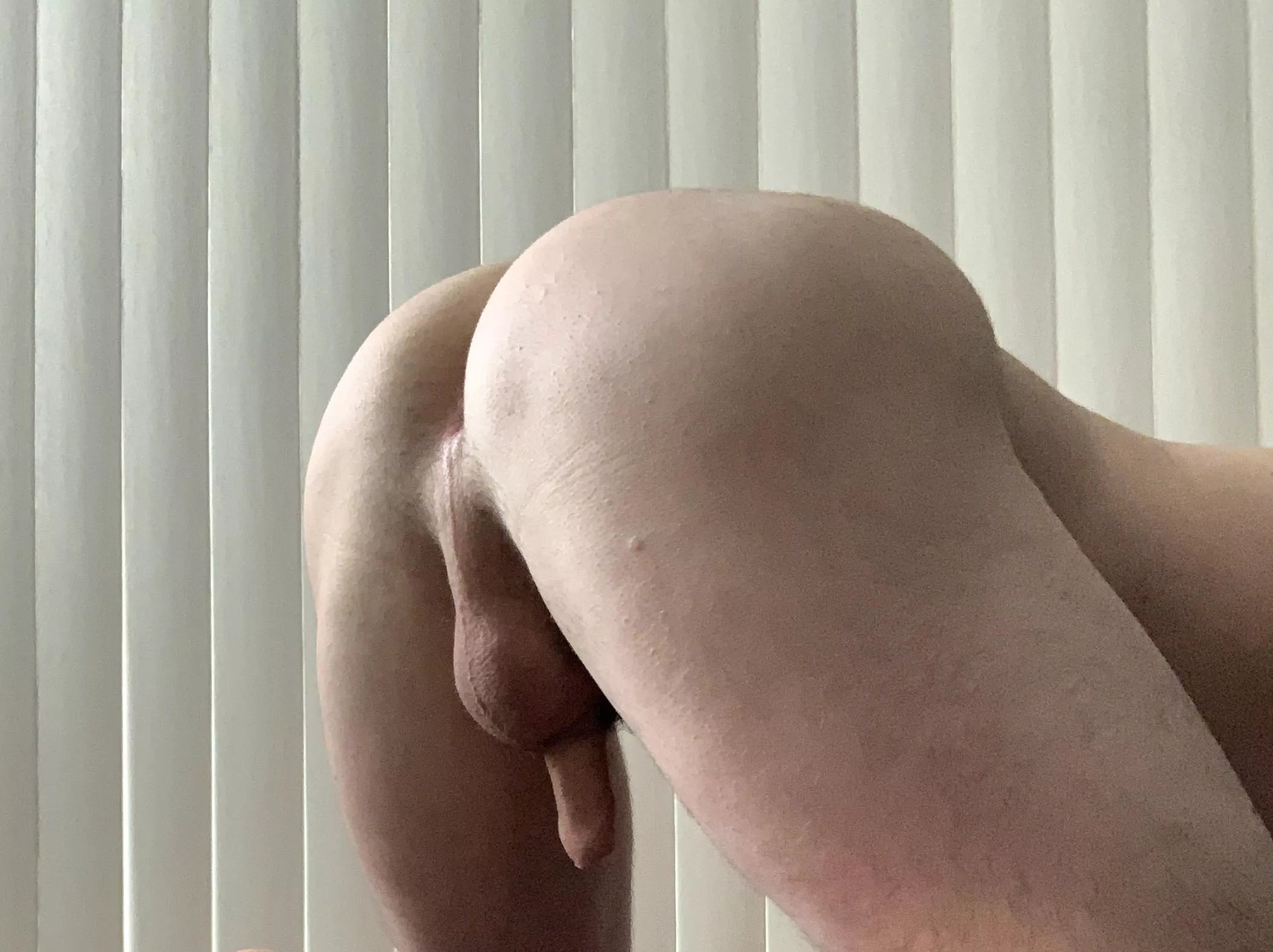 You can see a seam run from my anus, down my scrotum, and then all the way through to the tip of my foreskin. Crazy. posted by coveredpurple