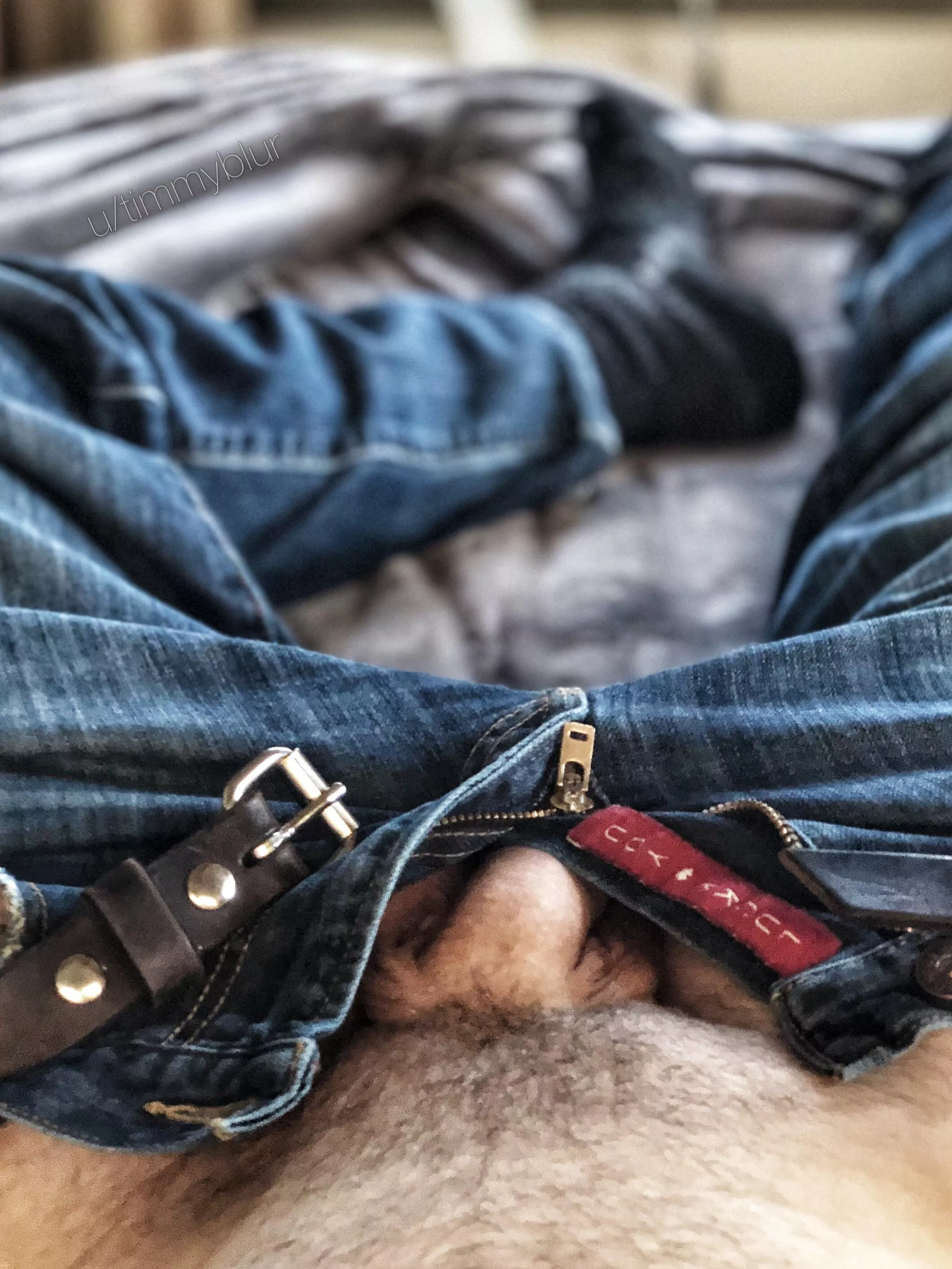 You! Yes, you. You’re the lucky one, you get to come and peel these jeans off of me. posted by timmyblur