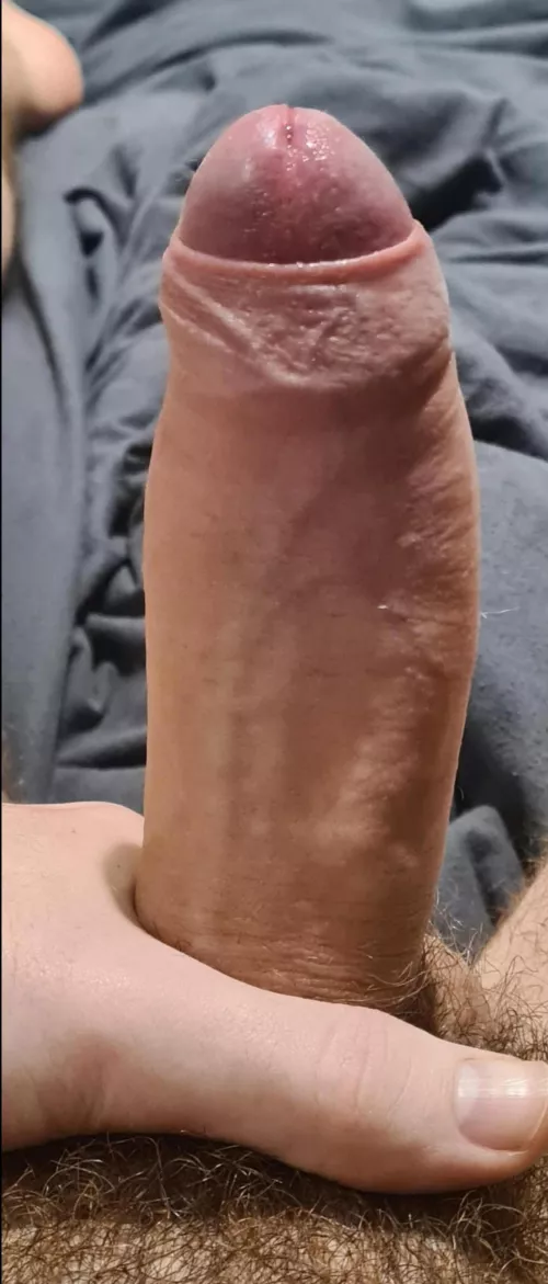 19[M] be completely honest honest. What do you think. Is it big enough? by Fair-Doughnut-339