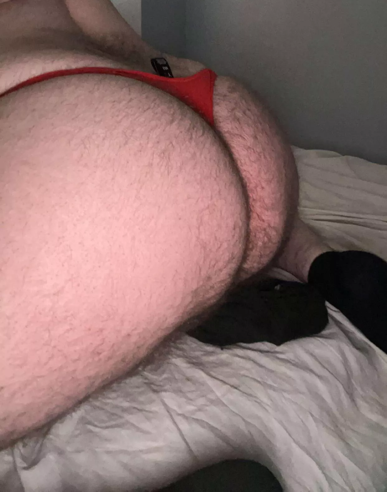25 m U.K. hairy bottom. Looking for masc U.K. lads. Add eded1173 posted by snaplad97