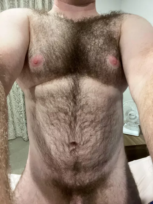 35 uncut hairy chest dm sc by tedgre