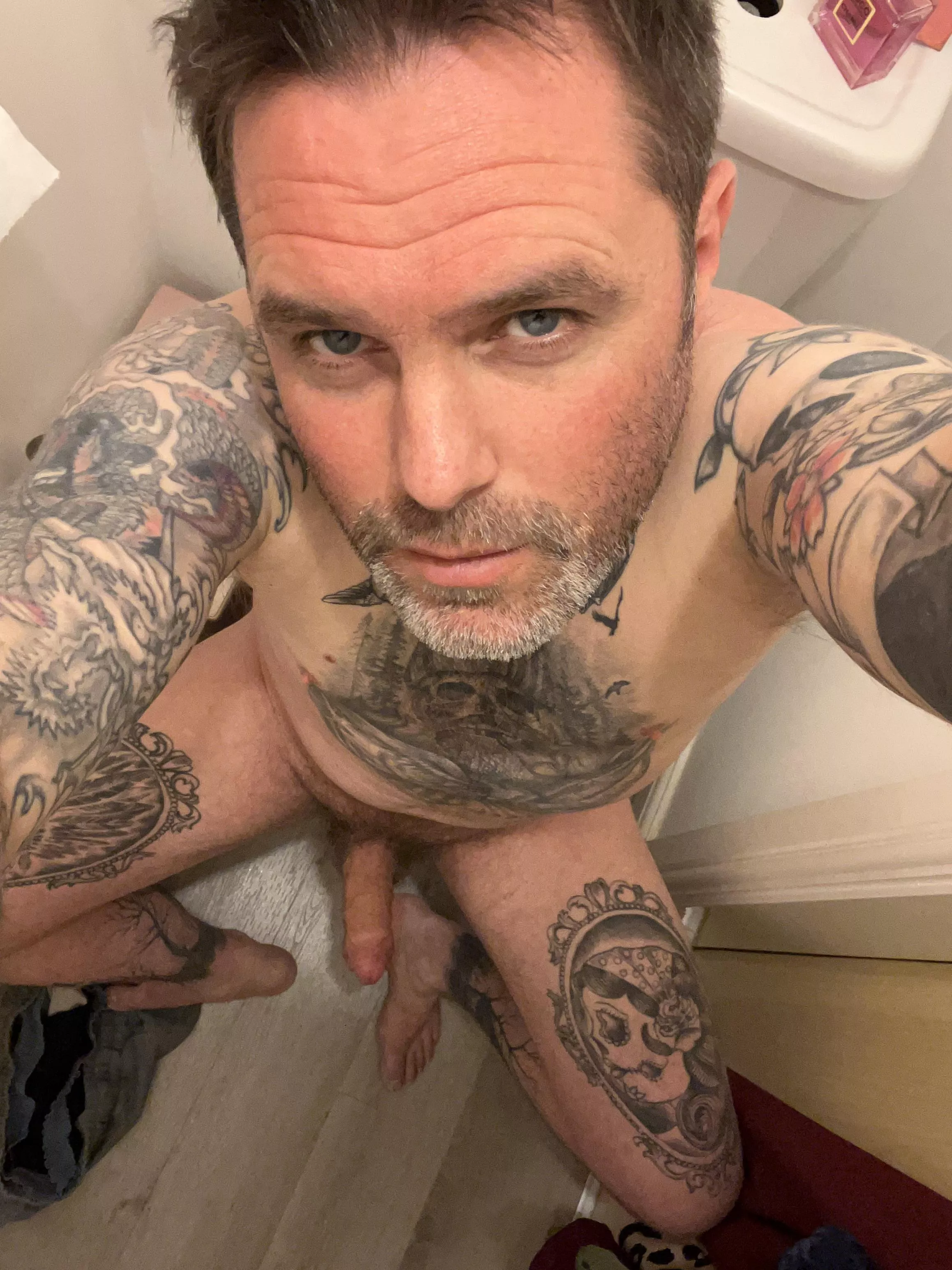 [41] hey posted by Mammoth-Geologist874