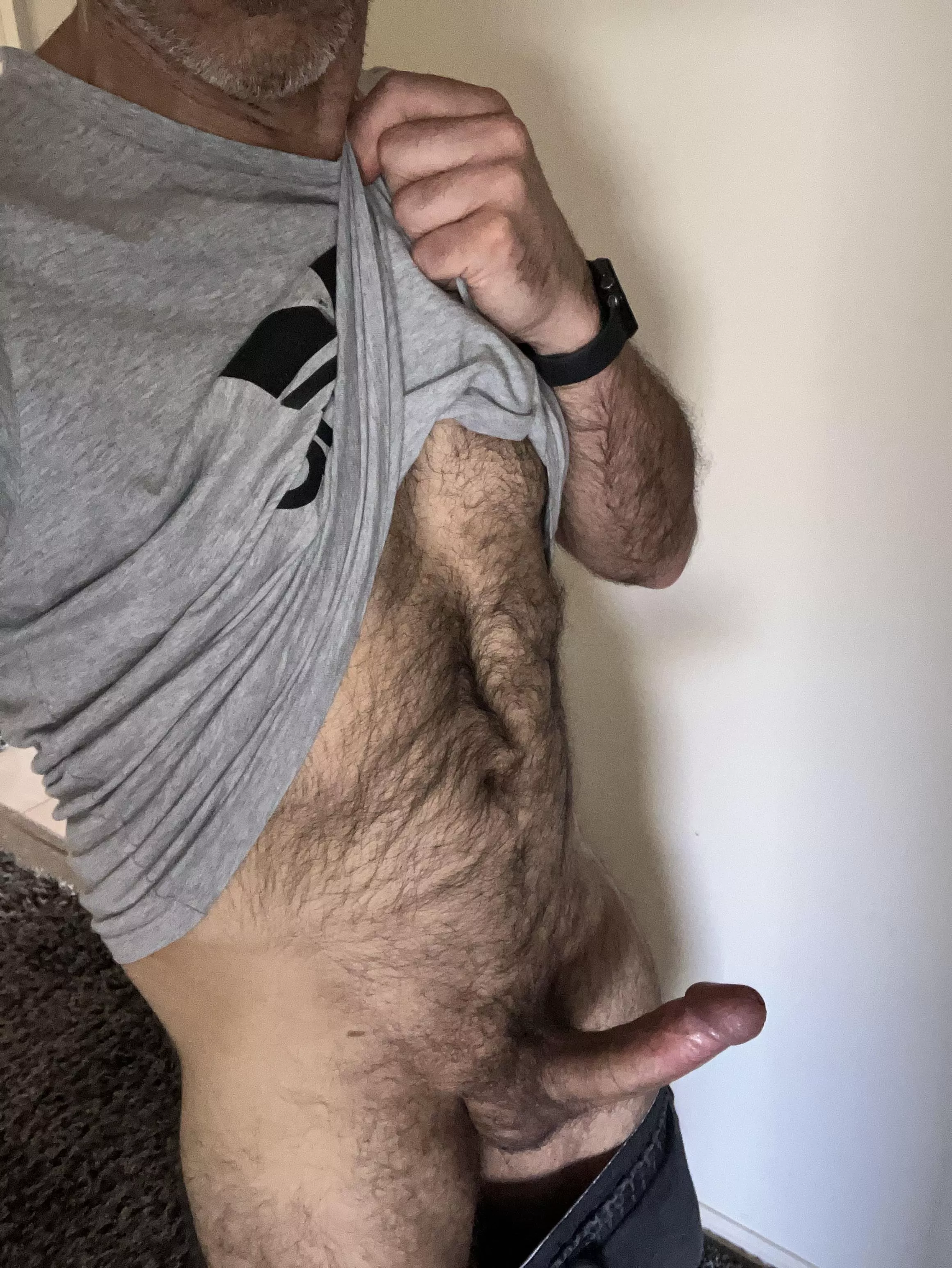 (52) My afternoon so far posted by herenowdad