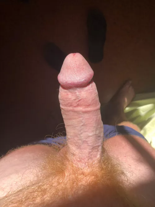 Afternoon sun by Charlie368