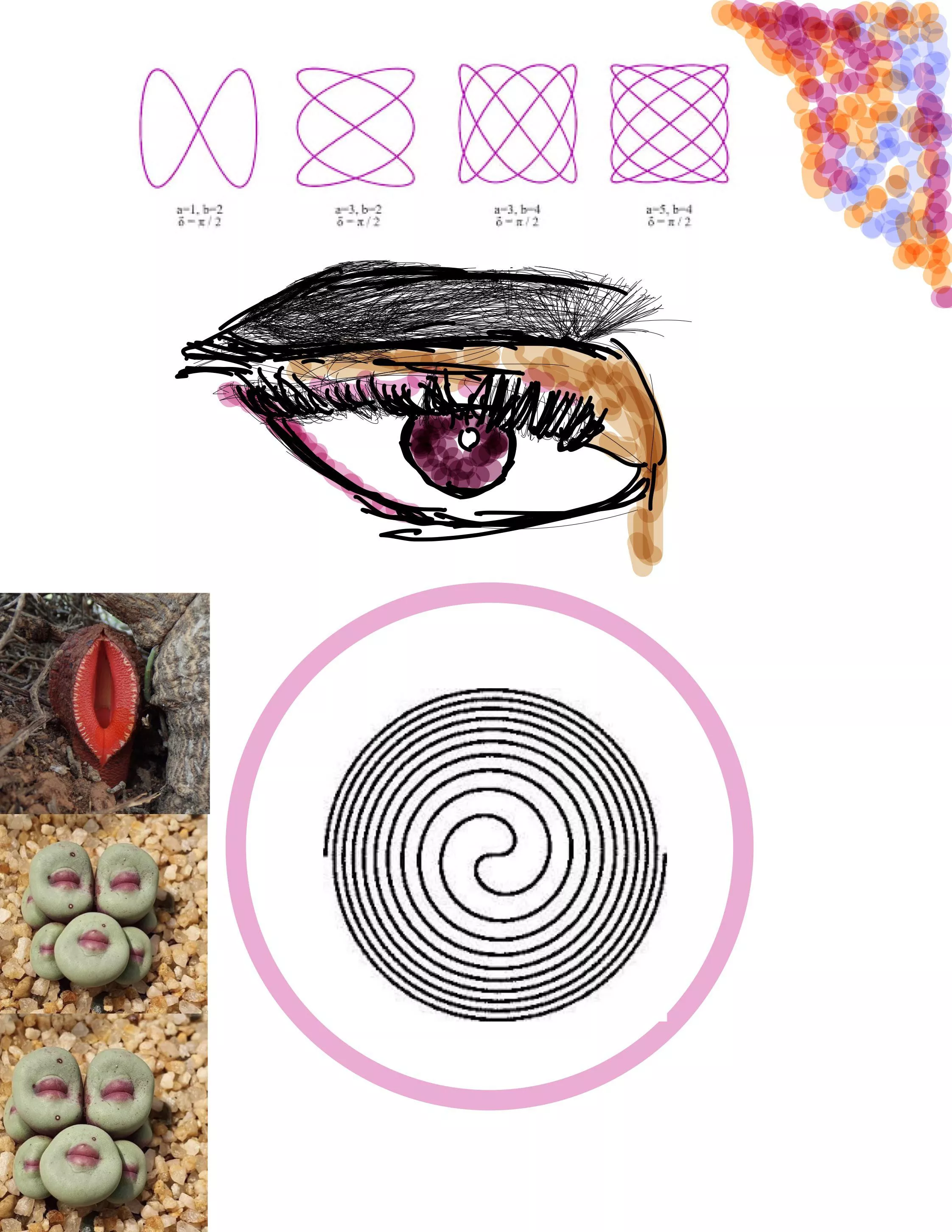 An Erotic Interpretation of Bretman Rock, me, Goodnotes, 2023 posted by Low-March6725