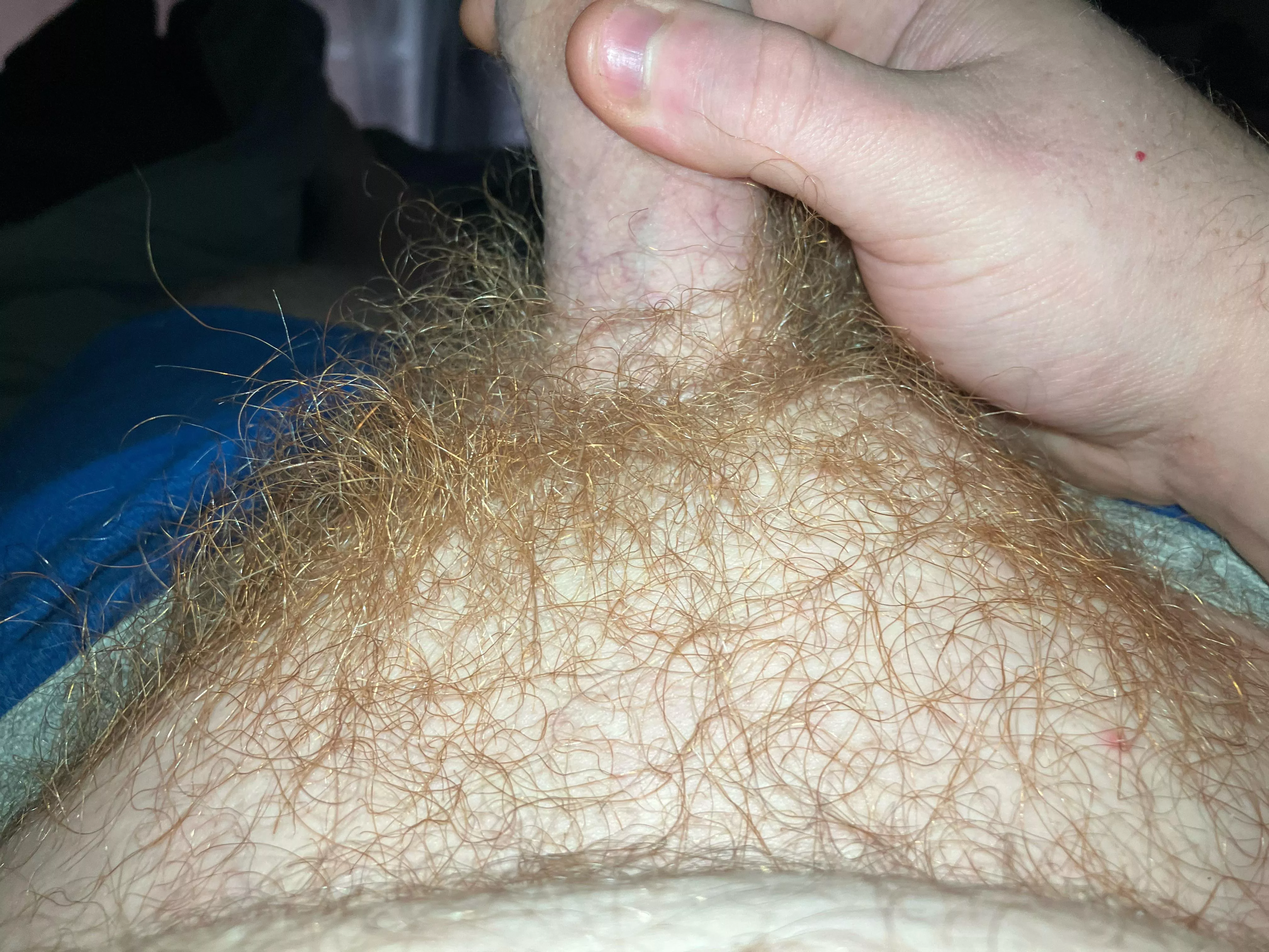 Any other small cocks wanna jerk dm for snap posted by beardedginger9191