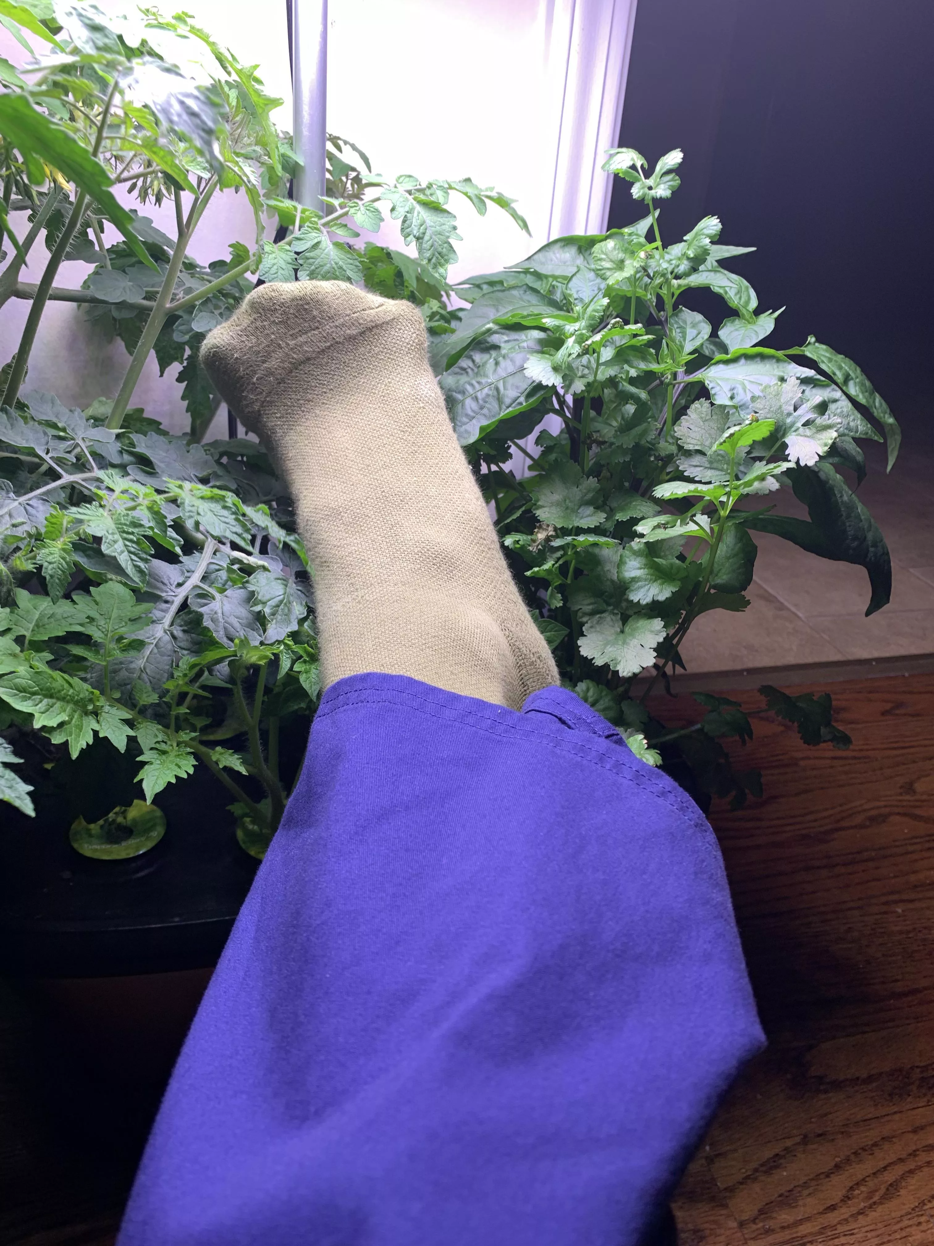 Compression socks 🧦 posted by Giselegetsit