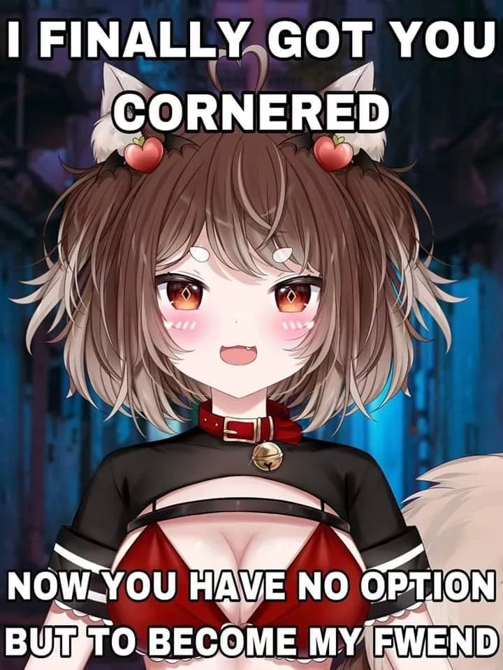 Cornered ha ha posted by trash-slayer