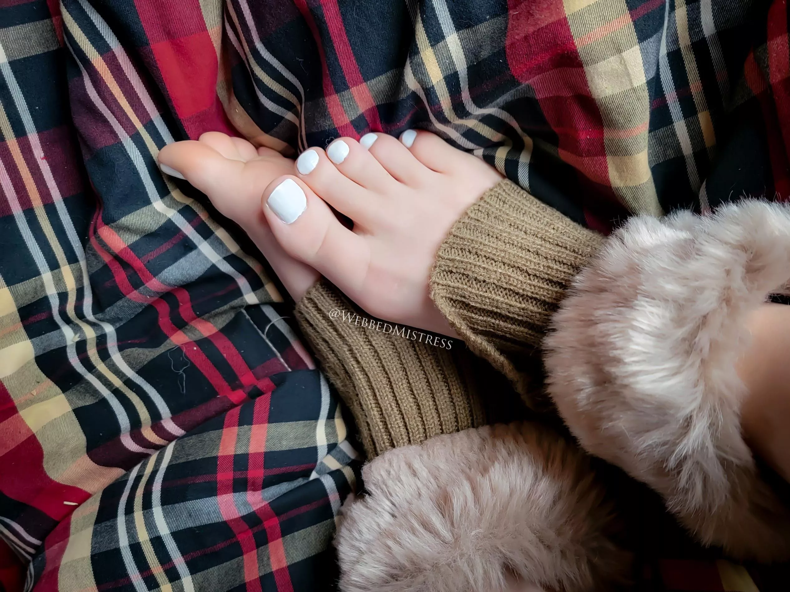 Daddy's white toes [OC] posted by Webbed_Mistress