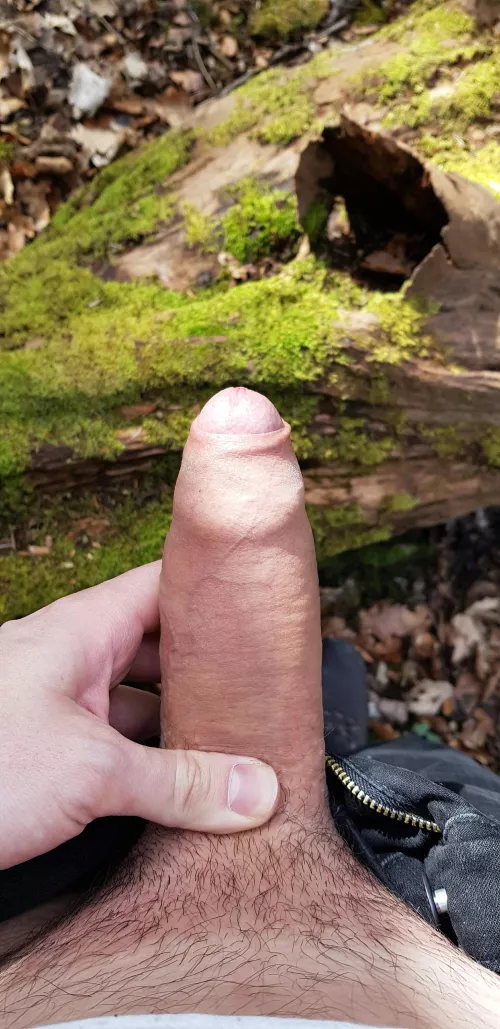 Enjoying the sun by StarkTributes12