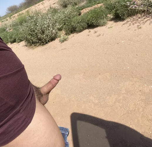 Had to pull over and get a little sun by SuccessfulAd8724