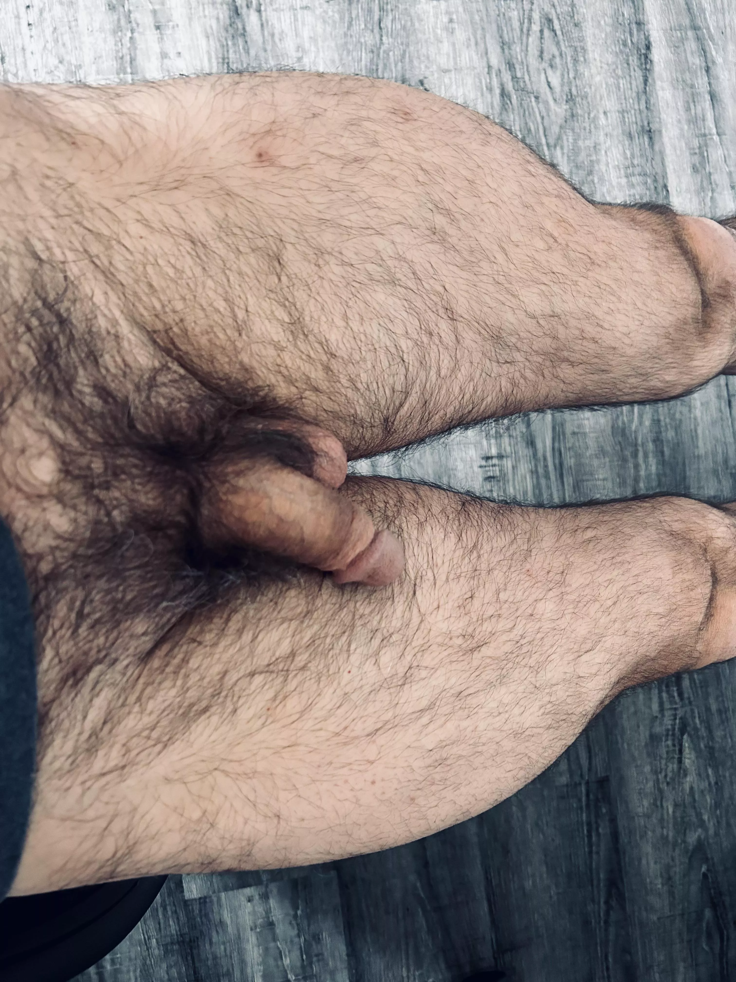 Hairy below the belt posted by BaldTankMan
