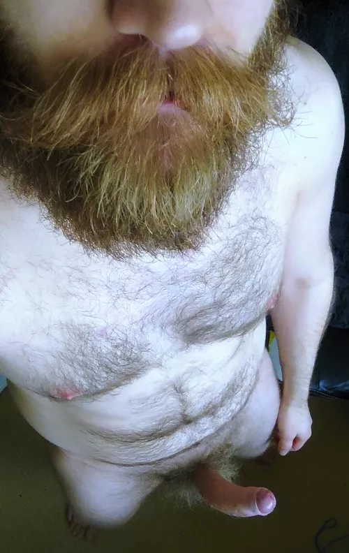 Hard again by BeardyFur