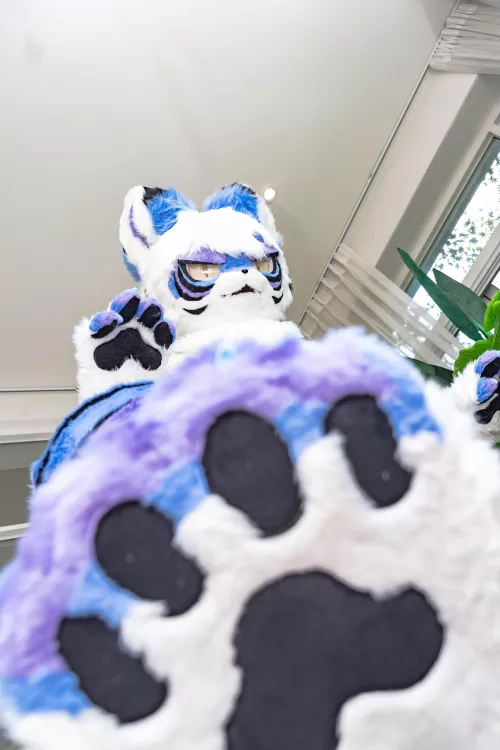 Hello There Tiny Hoomans! by skyhi14