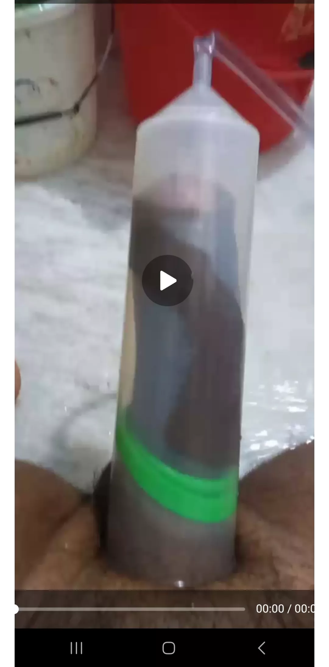 How's it ? posted by No1gtop