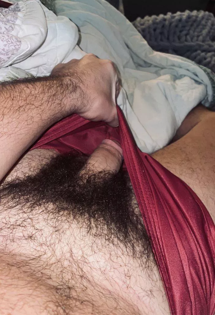 I should give my bush it’s own zip code 😂 posted by rktx2122