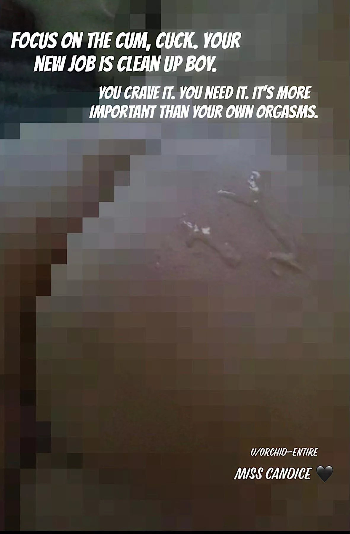 It’s time for your cleanup duties, cuck. Be a good beta for your Cuckoldress and clean up every drop. posted by Orchid-Entire