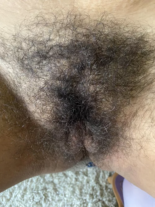 Just my big bush 😽🚫🪒🚫🥳 by sensimilla_earhart