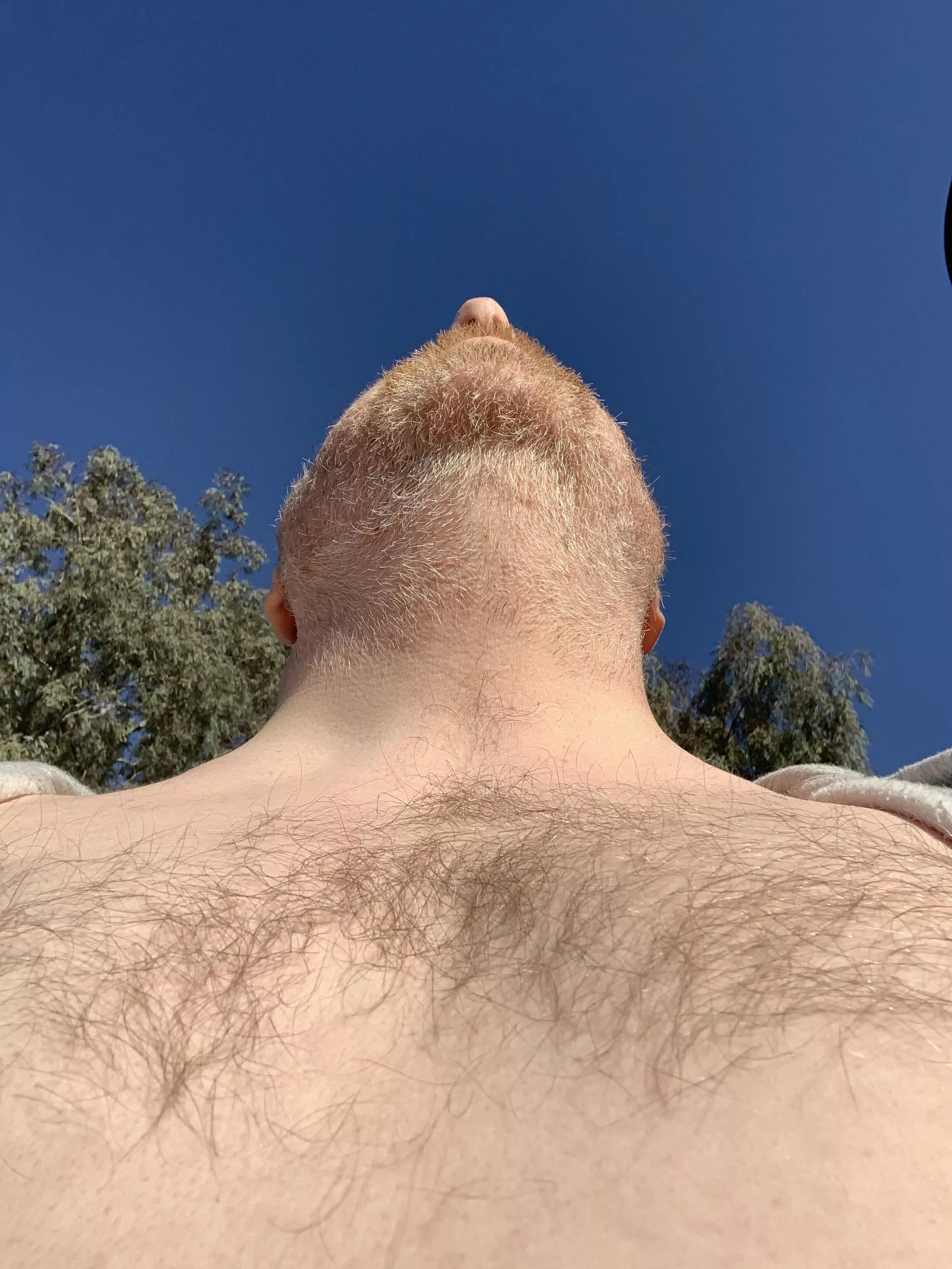 Let the sun illuminate you… posted by Reasonable-Yam6767