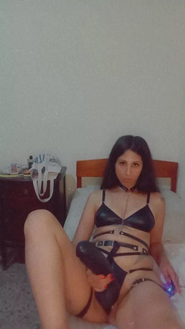 Looking for a good sissy to train by shinebitc